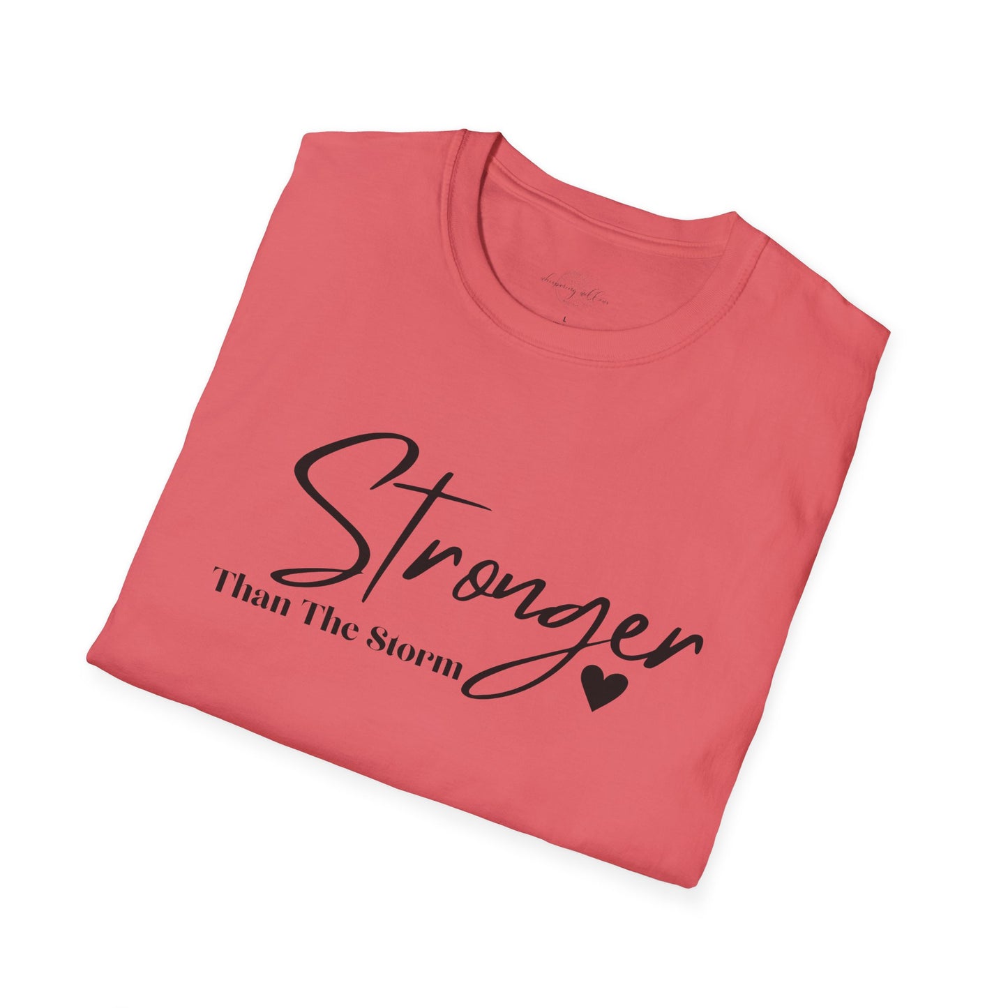 Stronger Than The Storm-This Too Shall Pass Top