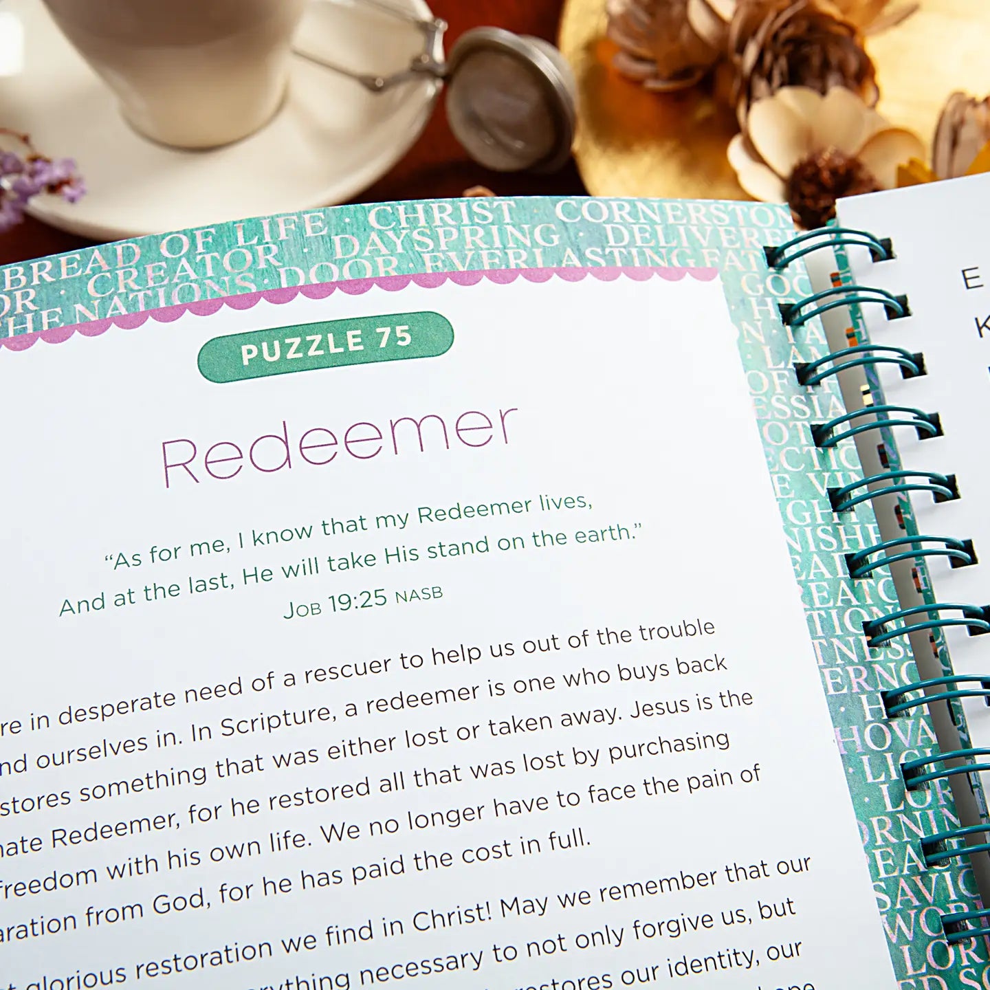 100 Mediations on the Names of Jesus Word Search Devotional
