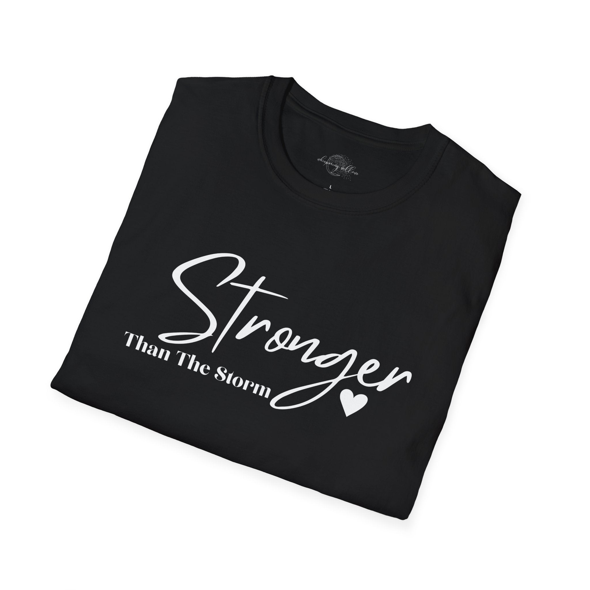 Stronger Than The Storm-This Too Shall Pass Top