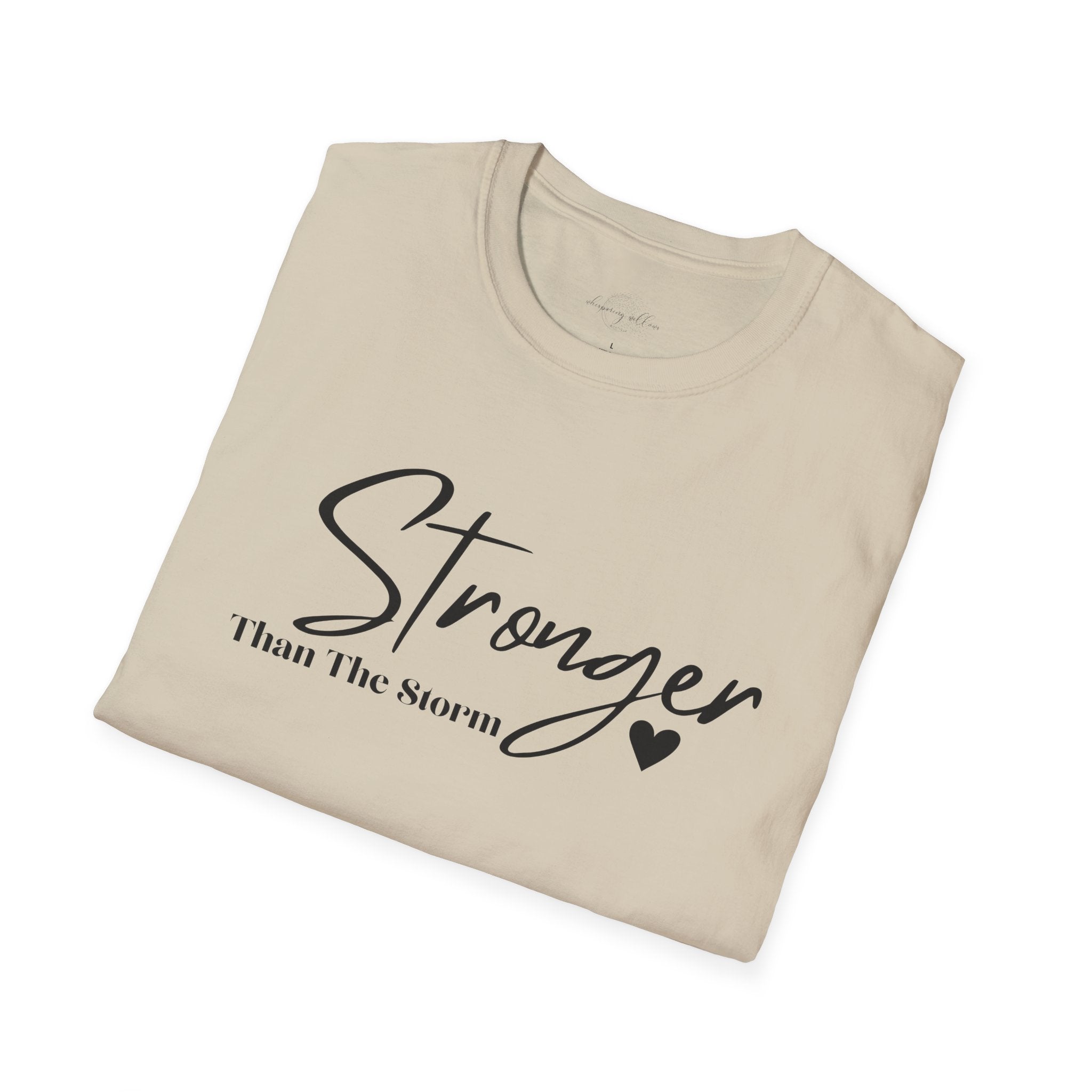 Stronger Than The Storm-This Too Shall Pass Top